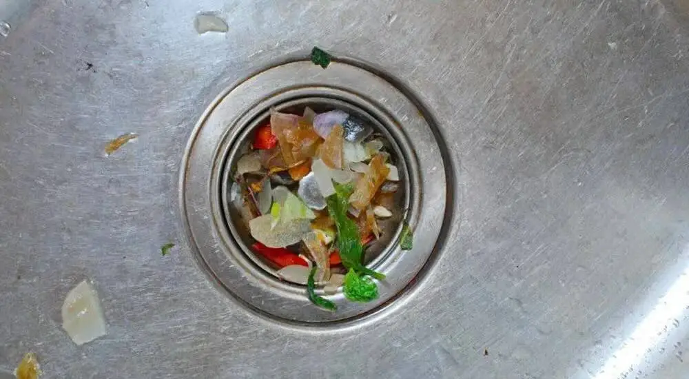 Clogged Kitchen Garbage Disposal